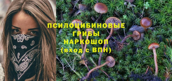 Альфа ПВП Алексеевка