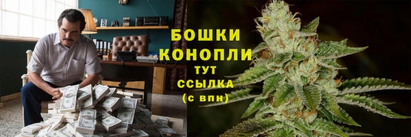прущие крисы Алзамай